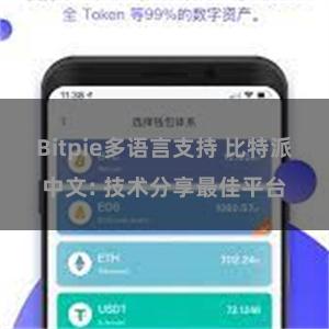 Bitpie多语言支持 比特派中文: 技术分享最佳平台