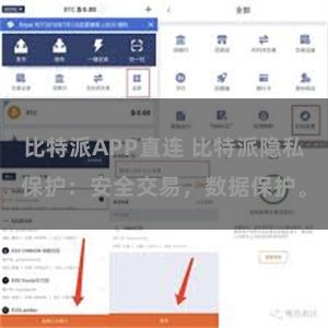比特派APP直连 比特派隐私保护：安全交易，数据保护。