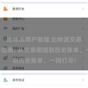 比特派用户教程 比特派交易记录查看指南: 从交易明细到历史账单，一网打尽!