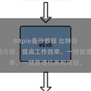 Bitpie备份教程 比特派在线管理系统介绍，提高工作效率，一键管理任务和项目。