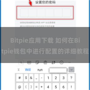 Bitpie应用下载 如何在Bitpie钱包中进行配置的详细教程