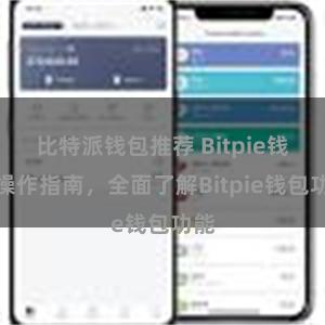 比特派钱包推荐 Bitpie钱包操作指南，全面了解Bitpie钱包功能