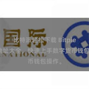 比特派轻松下载 Bitpie教程地址大全，快速上手数字货币钱包操作。