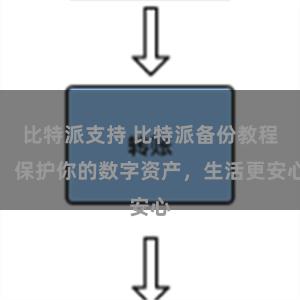 比特派支持 比特派备份教程：保护你的数字资产，生活更安心