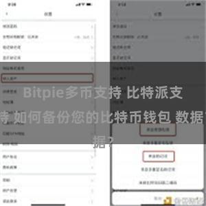 Bitpie多币支持 比特派支持 如何备份您的比特币钱包 数据？