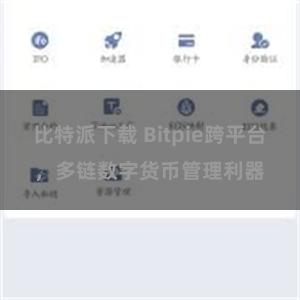 比特派下载 Bitpie跨平台，多链数字货币管理利器