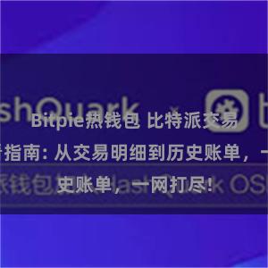 Bitpie热钱包 比特派交易记录查看指南: 从交易明细到历史账单，一网打尽!