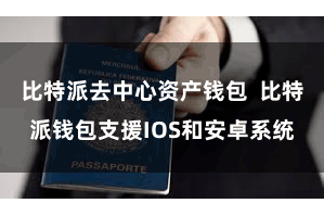 比特派去中心资产钱包 比特派钱包支援IOS和安卓系统