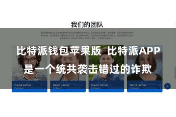 比特派钱包苹果版  比特派APP是一个统共袭击错过的诈欺