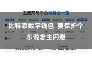 比特派数字钱包  要保护个东说念主闪避