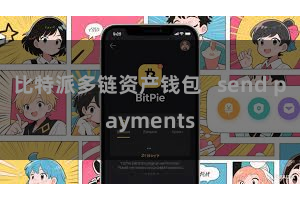 比特派多链资产钱包   send payments