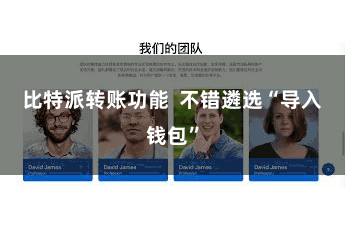 比特派转账功能  不错遴选“导入钱包”