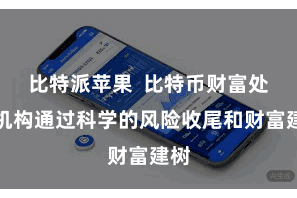 比特派苹果  比特币财富处治机构通过科学的风险收尾和财富建树