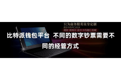 比特派钱包平台  不同的数字钞票需要不同的经管方式